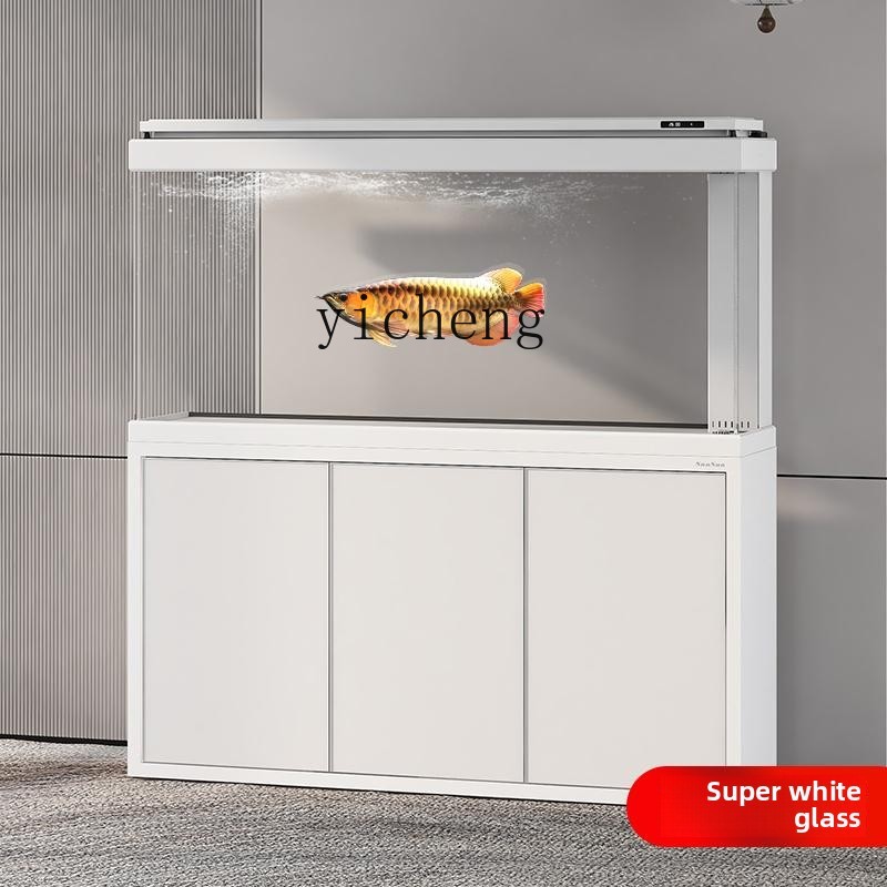 Xl Aquarium Fish - XL aquarium floor-to-ceiling water-free living room