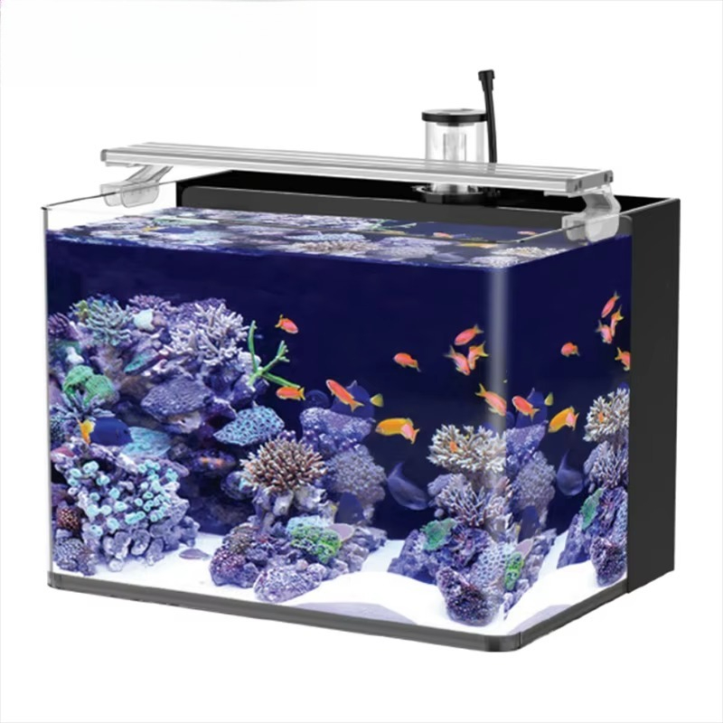 Delivery table curved seawater – обзор и цена Aquarium Fish Delivery