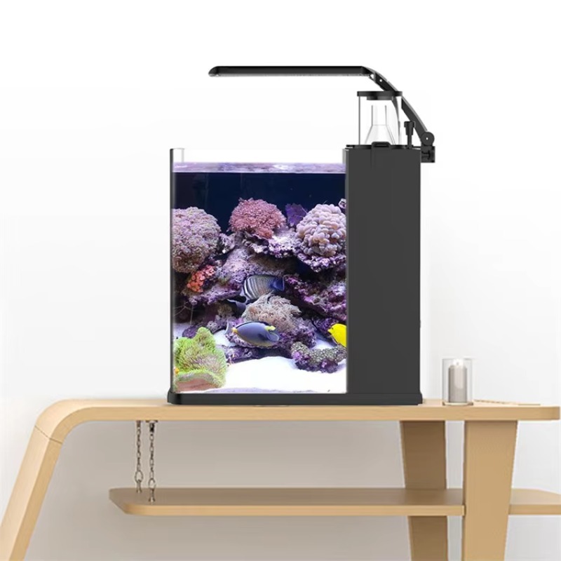 Delivery table curved seawater – обзор и цена Aquarium Fish Delivery