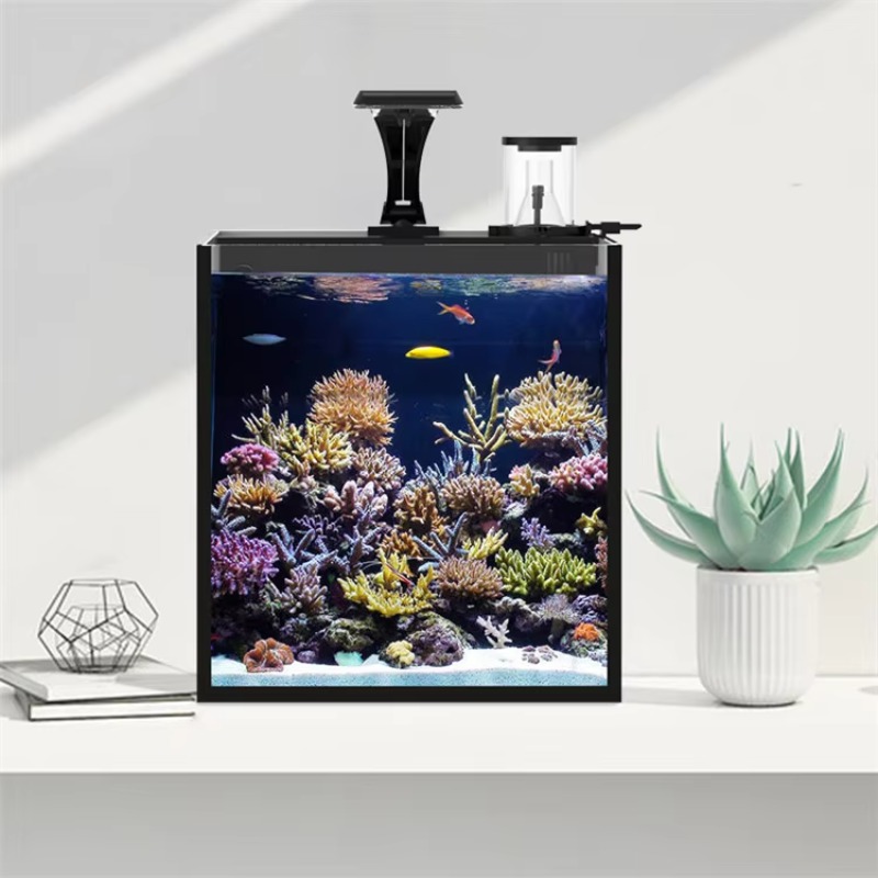 Delivery table curved seawater – обзор и цена Aquarium Fish Delivery