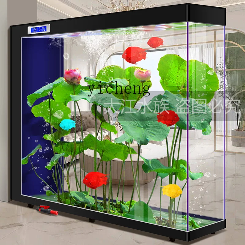 XL 2 lazy water-free living ro – обзор и цена Xl Aquarium Fish
