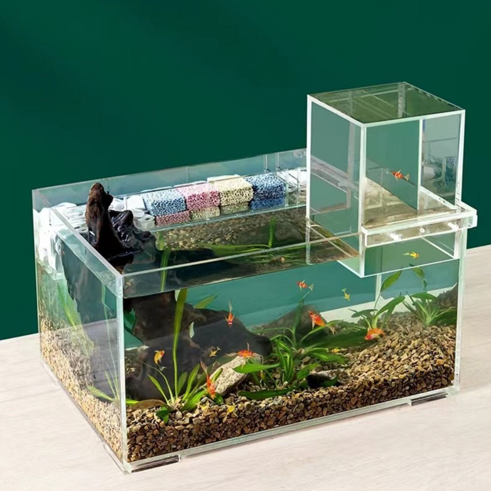 Landscaping Negative Pressure  – обзор и цена Aquarium Xxl