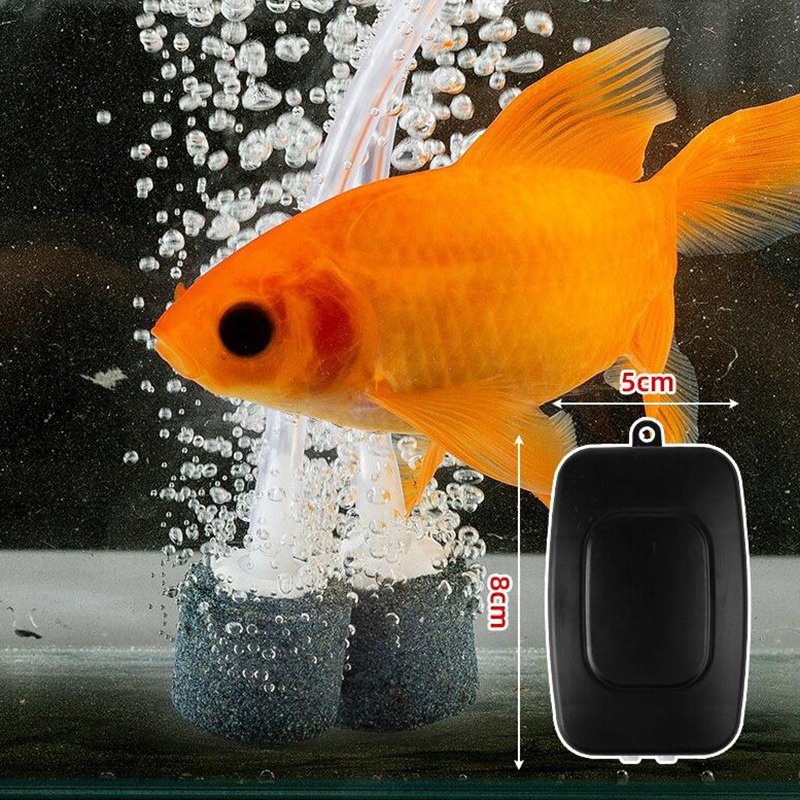Mini Aquarium Air Pump Kit Oxy – обзор и цена Aquarium Fish Fishing