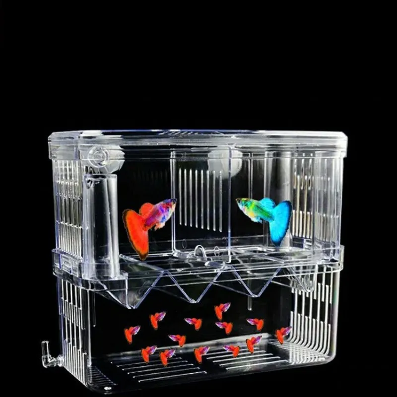 Aquarium Acrylic Breeder Box S – обзор и цена Xl Aquarium Fish