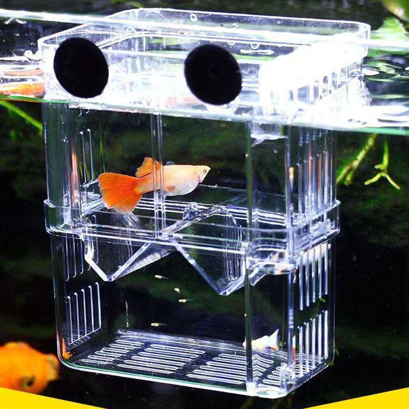 Aquarium Acrylic Breeder Box S – обзор и цена Xl Aquarium Fish