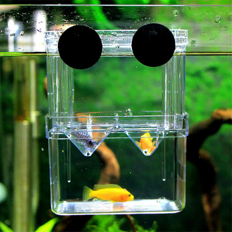 Aquarium Acrylic Breeder Box S – обзор и цена Xl Aquarium Fish