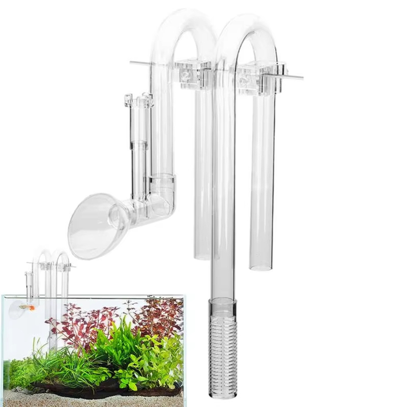 【Fast Delivery】Aquarium Inlet  – обзор и цена Aquarium Fish Delivery