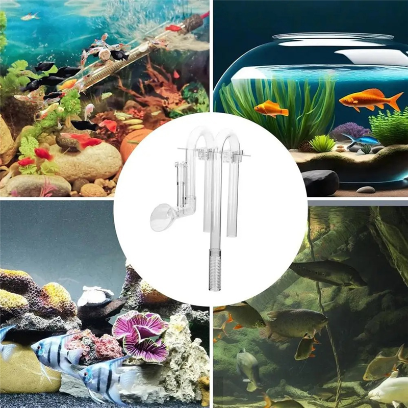 【Fast Delivery】Aquarium Inlet  – обзор и цена Aquarium Fish Delivery