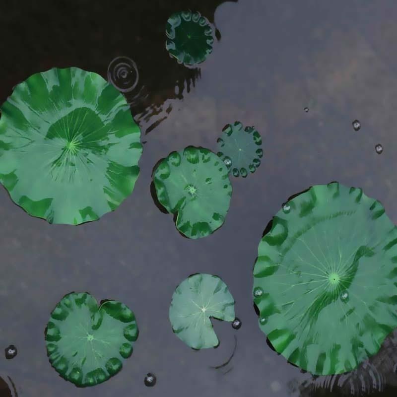 2026 Artificial Water Lily Lot – обзор и цена Aquarium Fish Fishing