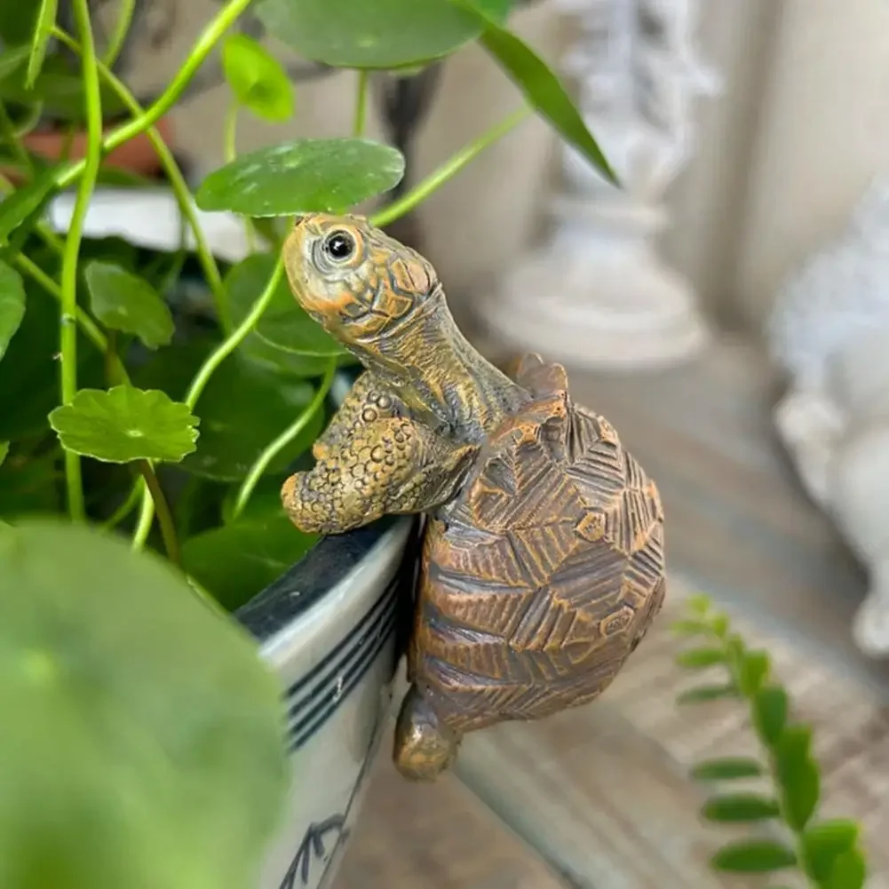 Fishing Turtle Hanging Turtle  – обзор и цена Aquarium Fish Fishing