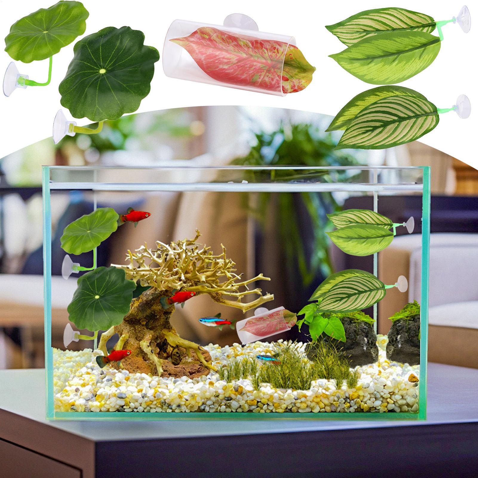 Betta Fish Hammock 5 Pieces Ad – обзор и цена Fish Toy In Aquarium