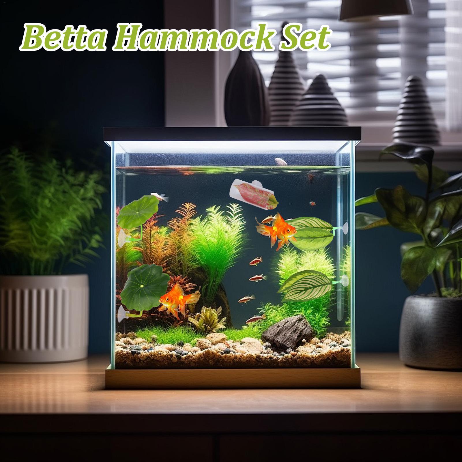 Betta Fish Hammock 5 Pieces Ad – обзор и цена Fish Toy In Aquarium