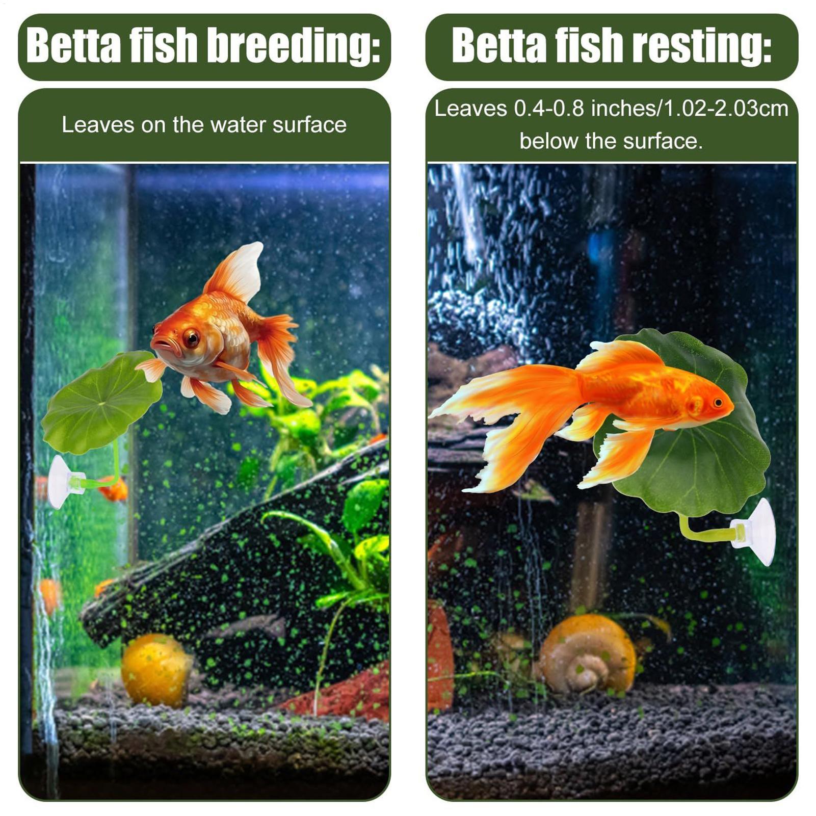 Betta Fish Hammock 5 Pieces Ad – обзор и цена Fish Toy In Aquarium