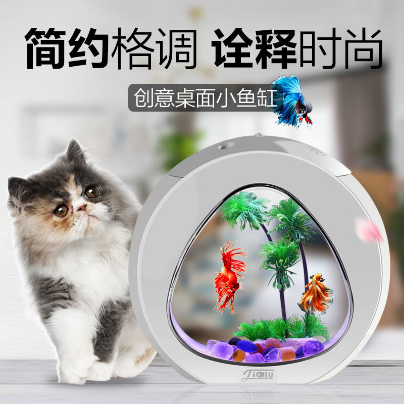 Jialu creative desktop fish ta – обзор и цена Aquarium Fish Delivery