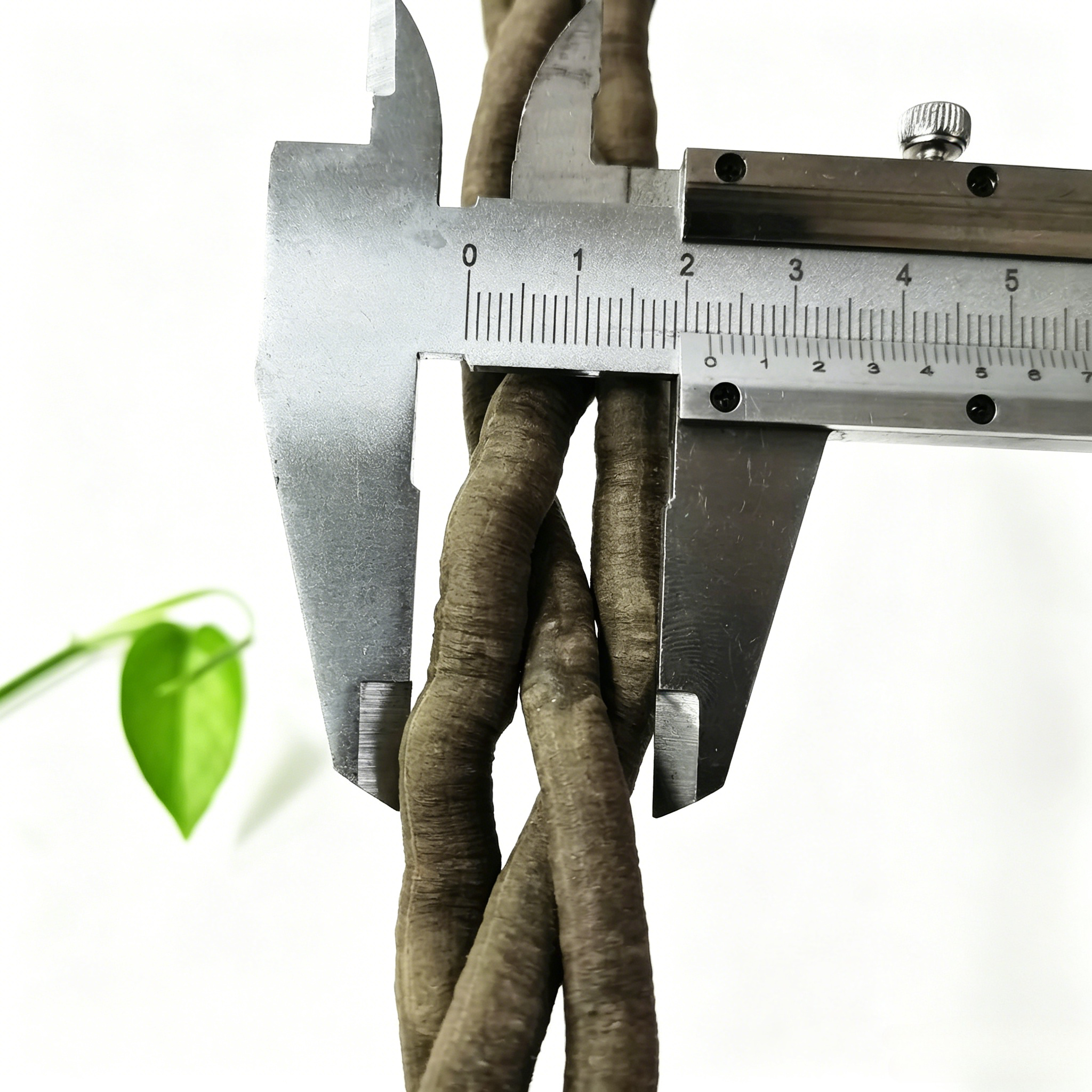100cm Artificial Vine Fake Pla – обзор и цена Aquarium Fish Fishing
