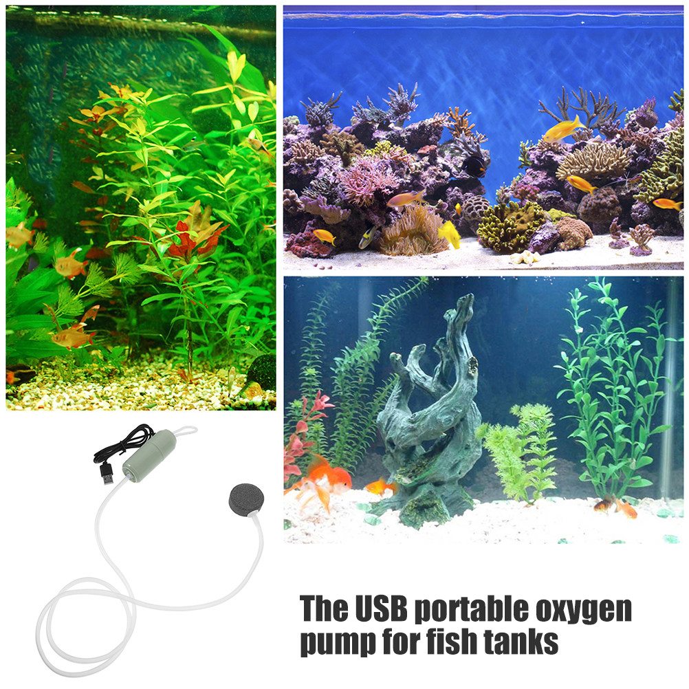 Quiet USB Mini Air Aerator Pum – обзор и цена Aquarium Fish Delivery