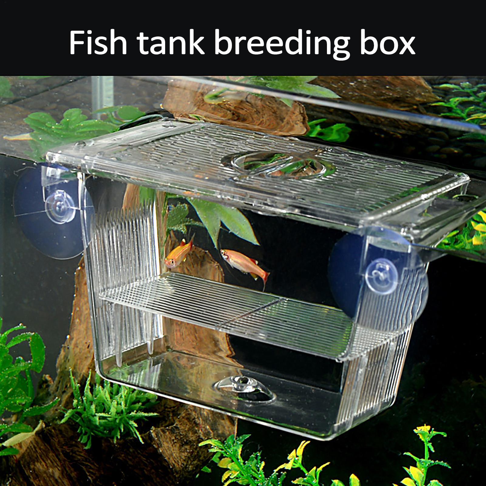 Breeder Box for Fish Tank Tran – обзор и цена Fish Toy In Aquarium