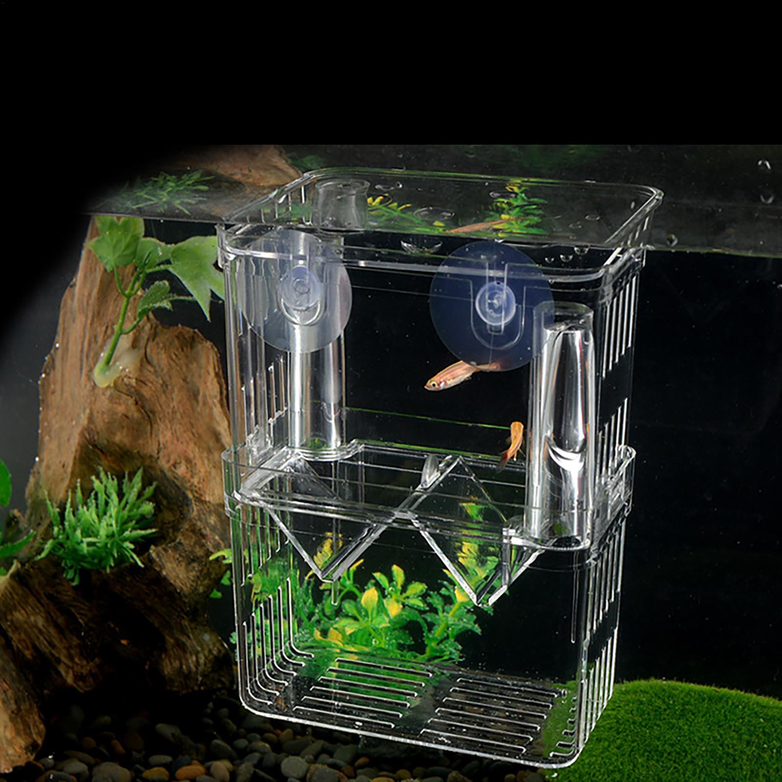 Breeder Box for Fish Tank Tran – обзор и цена Fish Toy In Aquarium