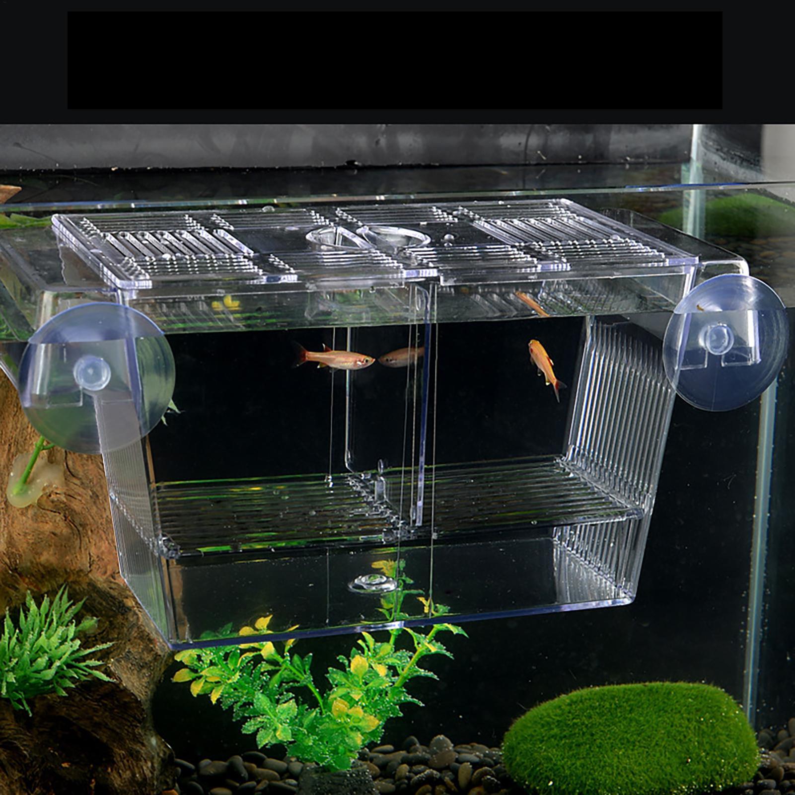 Breeder Box for Fish Tank Tran – обзор и цена Fish Toy In Aquarium