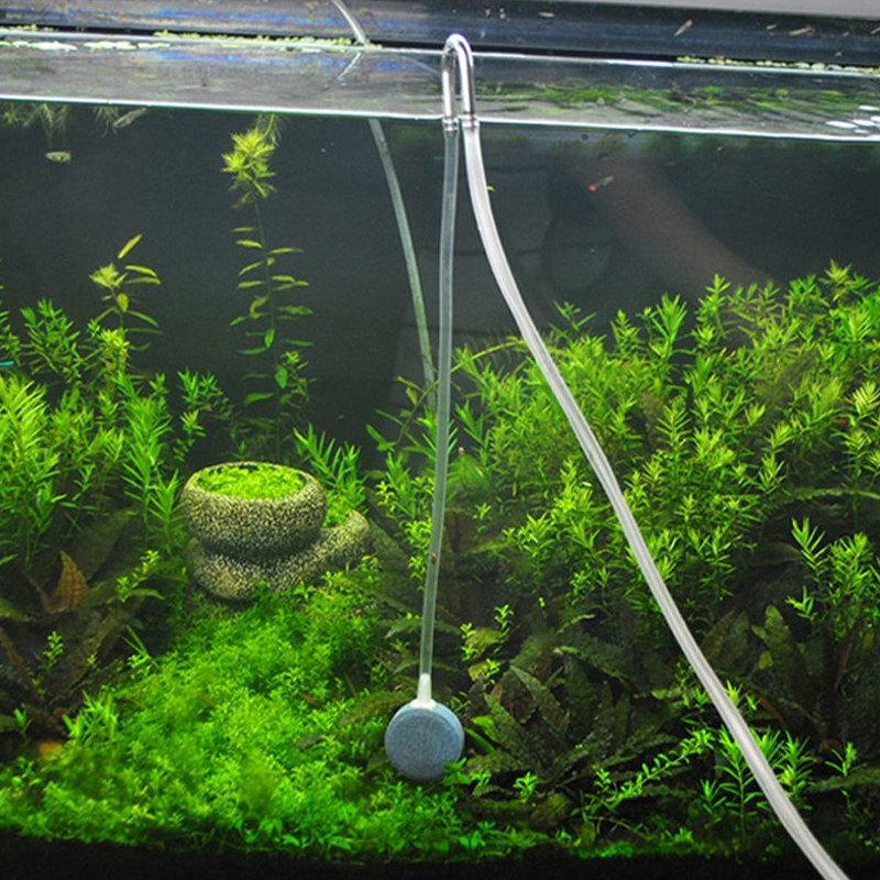 Aquarium CO2 regulator diffuse – обзор и цена Aquarium Fish Youtube