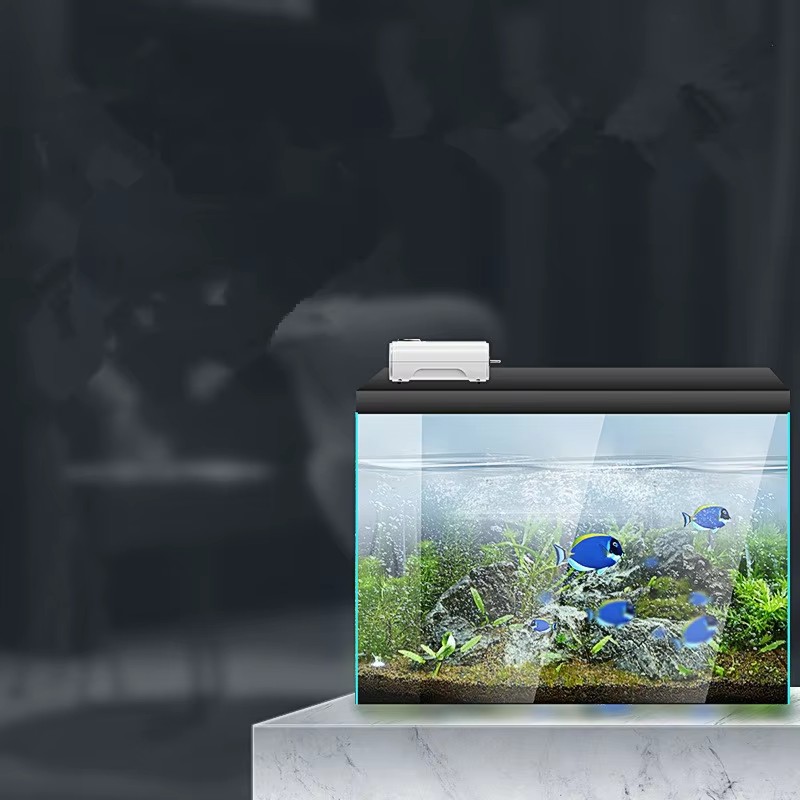220V/110V 3W/8W/12W Ultra Sile – обзор и цена Xl Aquarium Fish